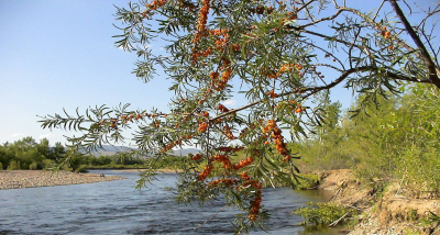 高雄市左營區博愛二路366號16樓之2